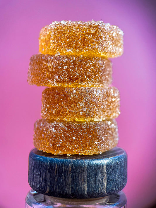 Holiday 2025 Edition