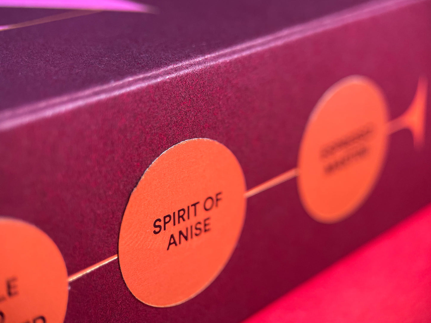 Spirit of Anise 12 Pack